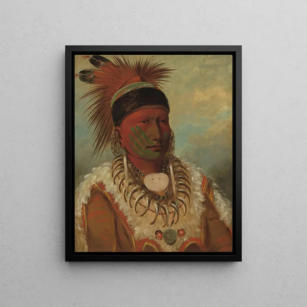 The White Cloud Chief of the Iowas - George Catlin — framed artwork on a wall