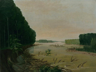 View of the alluvial banks of the Missouri 600 miles upstream of St. Louis - George Catlin — artwork view