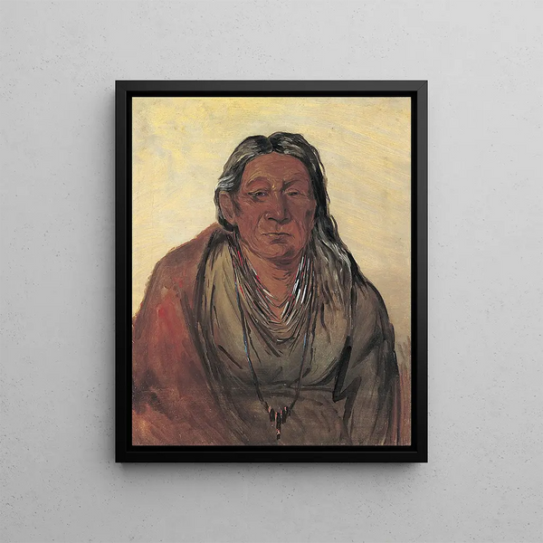 Wahpeshsee Mother of the Chief - George Catlin — framed artwork on a wall