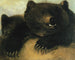 Weapons and physiognomy of the grizzly bear - George Catlin — artwork view