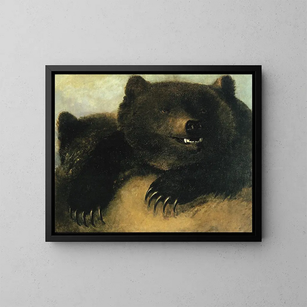 Weapons and physiognomy of the grizzly bear - George Catlin — framed artwork on a wall