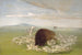 White Wolves attacking a Bison Bull - George Catlin — artwork view