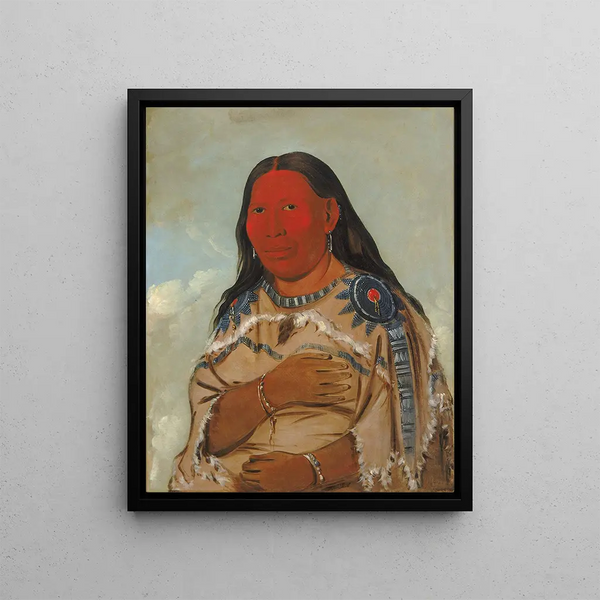 Woman of Two Crows - George Catlin — framed artwork on a wall