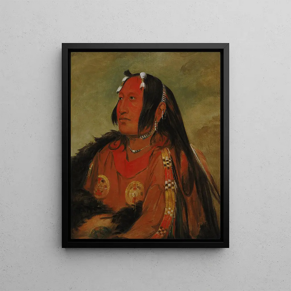 Pigeons de WiJnJon Egg Head The Light, un jeune guerrier distingué - George Catlin — framed artwork on a wall