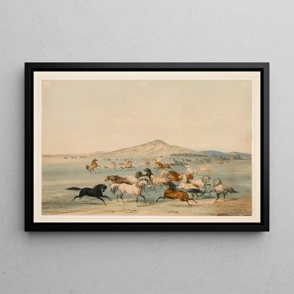 Horses in motion - George Catlin — framed artwork on a wall