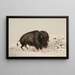 Buffle blessé - George Catlin — framed artwork on a wall
