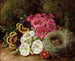 Primroses and a bird's nest on a mossy bank - George Clare — artwork view