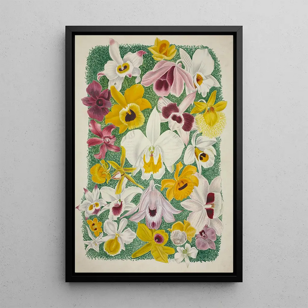 My Garden in Ceylon Pl002 - George De Alwis — framed artwork on a wall