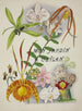 My Garden in Ceylan Pl003 - George De Alwis — artwork view