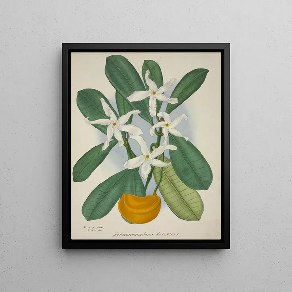 Mon Jardin à Ceylan Pl006 - George De Alwis — framed artwork on a wall