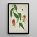 Mon jardin à Ceylan Pl010 - George De Alwis — framed artwork on a wall