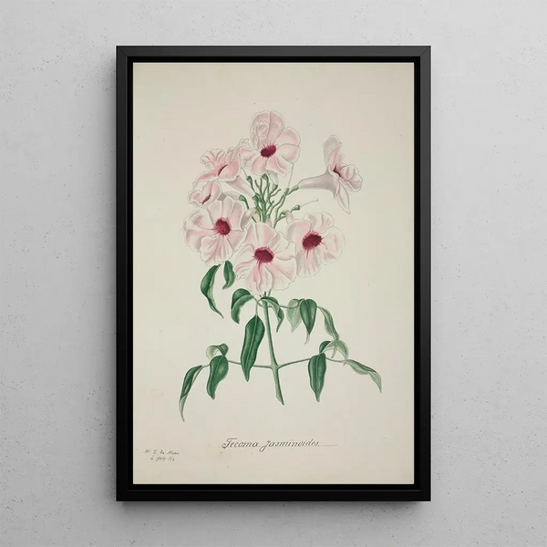 My Garden in Ceylon Pl013 - George De Alwis — framed artwork on a wall