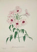 My Garden in Ceylon Pl013 - George De Alwis — artwork view