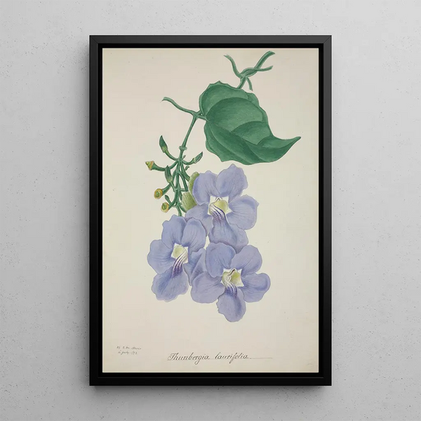 Mon jardin à Ceylan Pl014 - George De Alwis — framed artwork on a wall