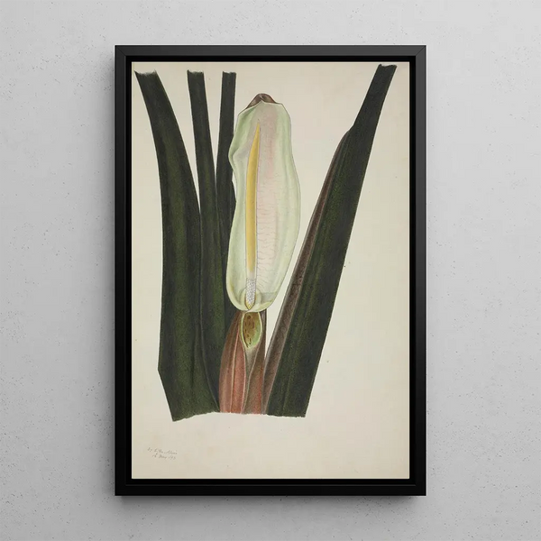 My Garden in Ceylan Pl026 - George De Alwis — framed artwork on a wall