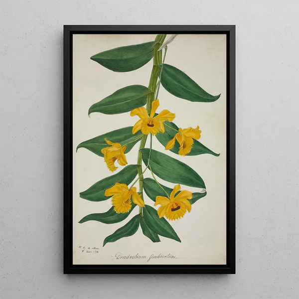 Mon Jardin à Ceylan Pl027 - George De Alwis — framed artwork on a wall