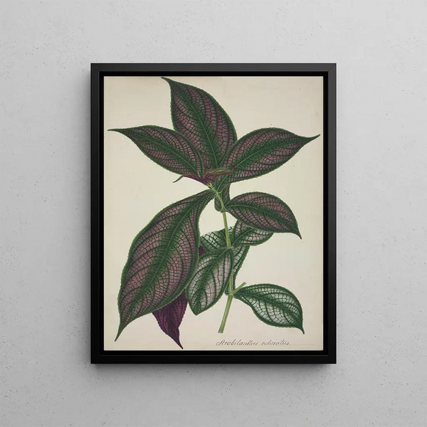 Mon Jardin à Ceylan Pl028 - George De Alwis — framed artwork on a wall