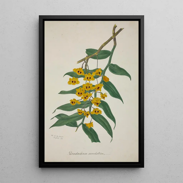 My Garden in Ceylon Pl030 - George De Alwis — framed artwork on a wall