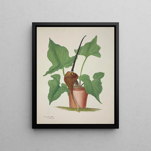 Mon Jardin à Ceylan Pl033 - George De Alwis — framed artwork on a wall