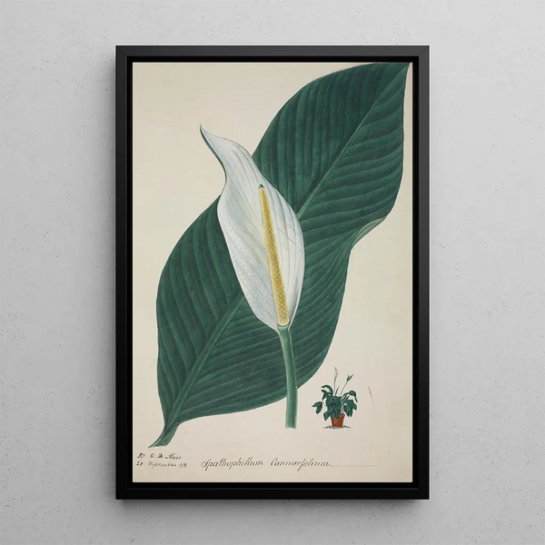 Mon Jardin à Ceylan Pl034 - George De Alwis — framed artwork on a wall