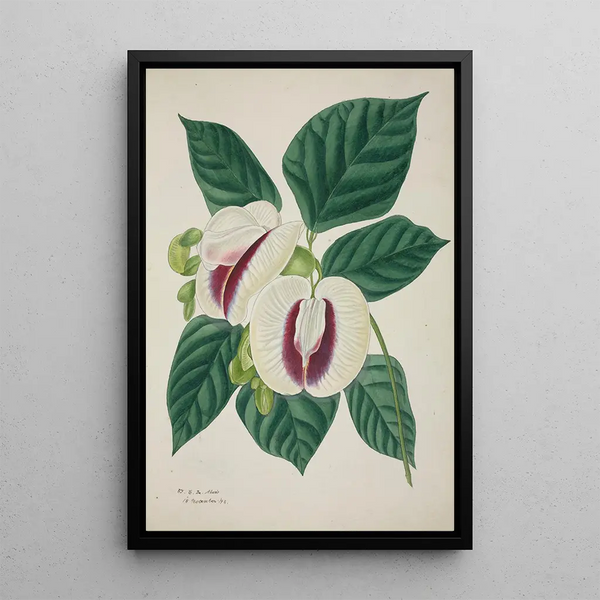 Mon Jardin à Ceylan Pl038 - George De Alwis — framed artwork on a wall