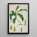 Mon Jardin à Ceylan Pl040 - George De Alwis — framed artwork on a wall