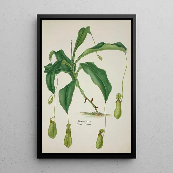 Mon Jardin à Ceylan Pl040 - George De Alwis — framed artwork on a wall
