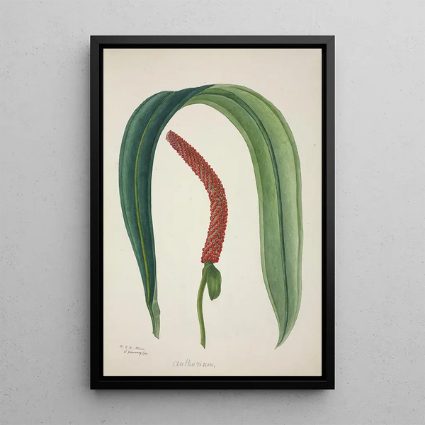 Mon Jardin à Ceylan Pl041 - George De Alwis — framed artwork on a wall