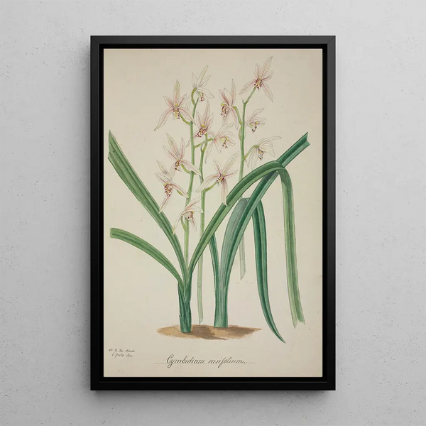 Mon Jardin à Ceylan Pl042 - George De Alwis — framed artwork on a wall