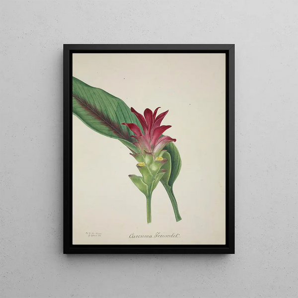 My Garden in Ceylon Pl044 - George De Alwis — framed artwork on a wall