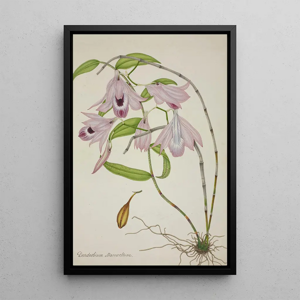 My Garden in Ceylan Pl045 - George De Alwis — framed artwork on a wall