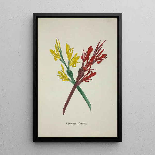 My Garden in Ceylon Pl049 - George De Alwis — framed artwork on a wall