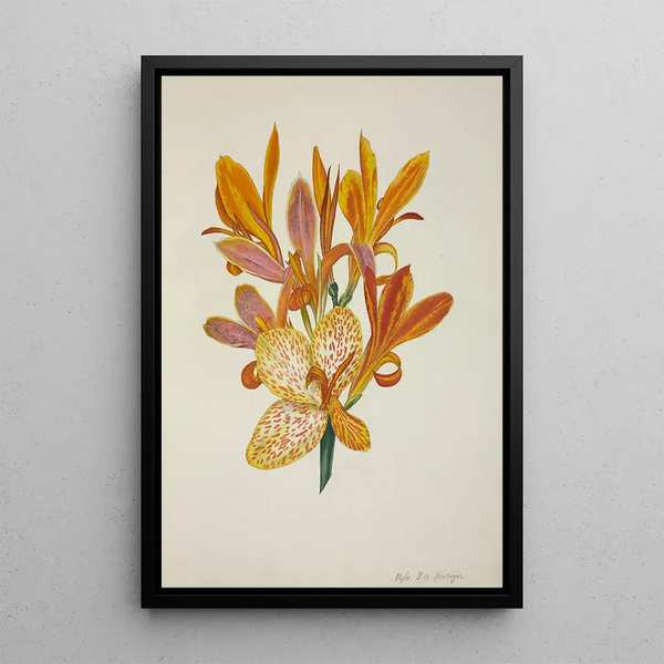 Mon Jardin à Ceylan Pl050 - George De Alwis — framed artwork on a wall