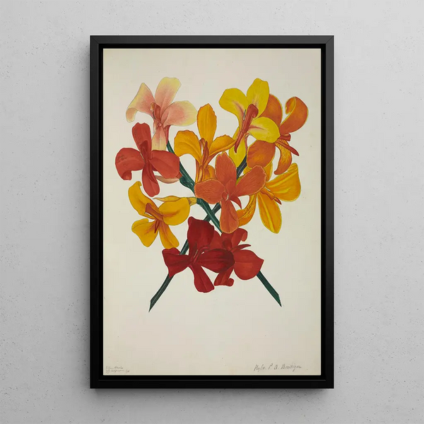 My Garden in Ceylon Pl051 - George De Alwis — framed artwork on a wall