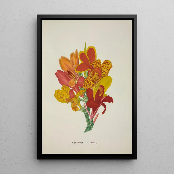 Mon Jardin à Ceylan Pl052 - George De Alwis — framed artwork on a wall