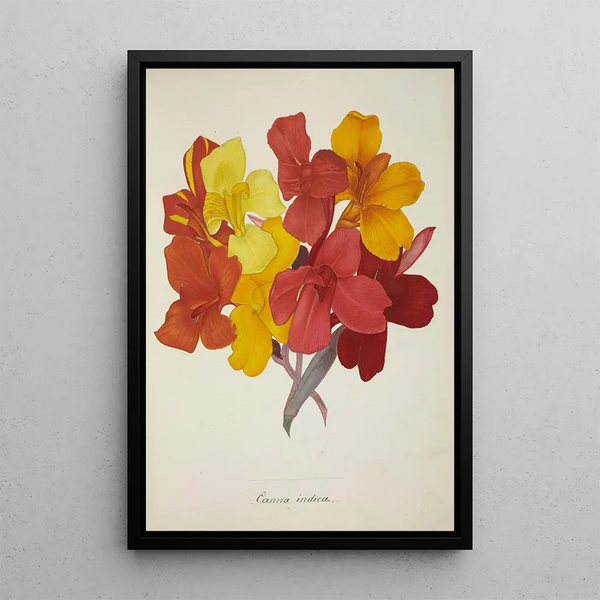 Mon Jardin à Ceylan Pl053 - George De Alwis — framed artwork on a wall