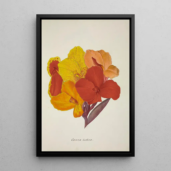 Mon Jardin à Ceylan Pl054 - George De Alwis — framed artwork on a wall