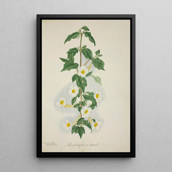Mon Jardin à Ceylan Pl055 - George De Alwis — framed artwork on a wall
