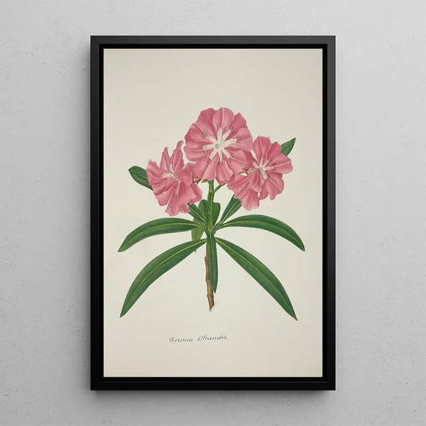 Mon Jardin à Ceylan Pl057 - George De Alwis — framed artwork on a wall