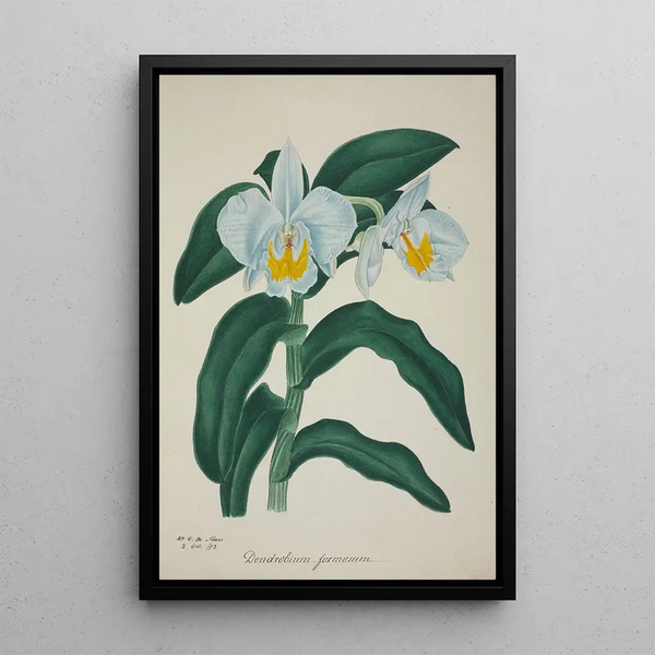 Mon Jardin à Ceylan Pl060 - George De Alwis — framed artwork on a wall