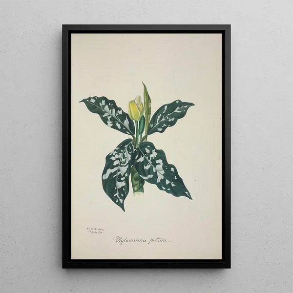 Mon Jardin à Ceylan Pl063 - George De Alwis — framed artwork on a wall