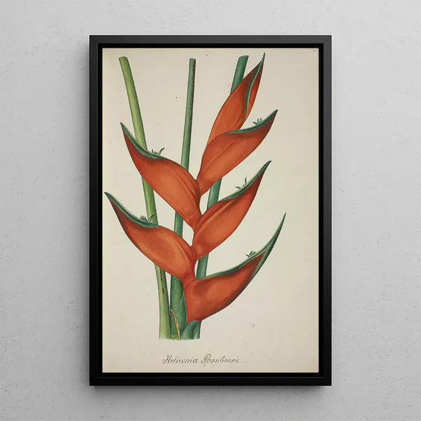 My Garden in Ceylan Pl067 - George De Alwis — framed artwork on a wall