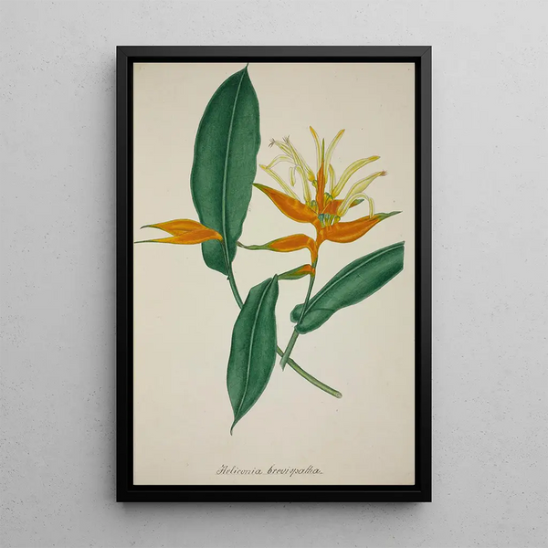 Mon Jardin à Ceylan Pl068 - George De Alwis — framed artwork on a wall
