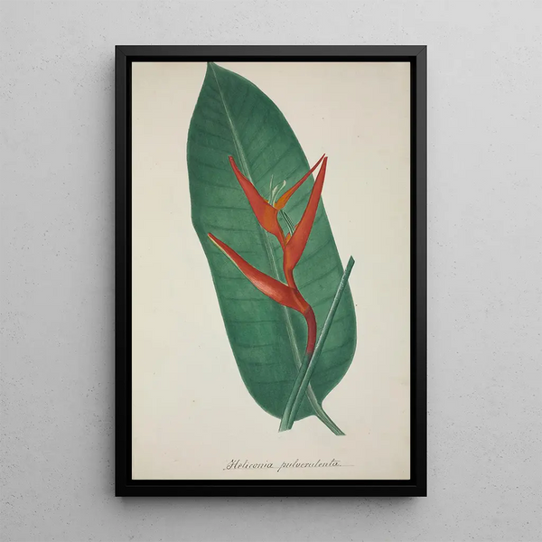Mon Jardin à Ceylan Pl070 - George De Alwis — framed artwork on a wall