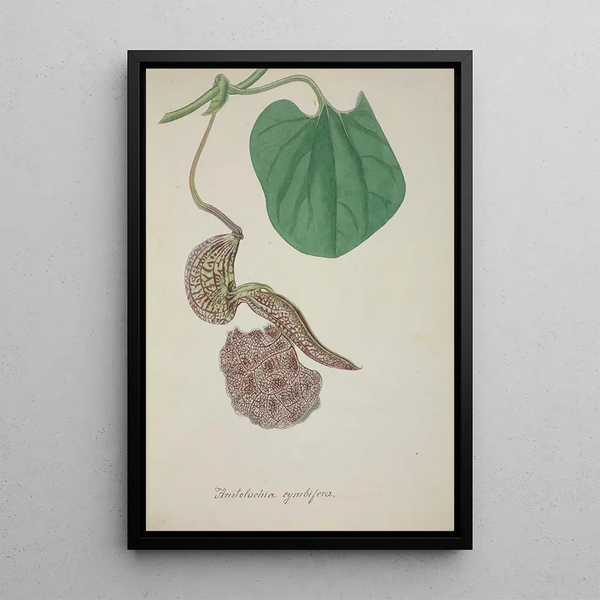 Mon Jardin à Ceylan Pl072 - George De Alwis — framed artwork on a wall