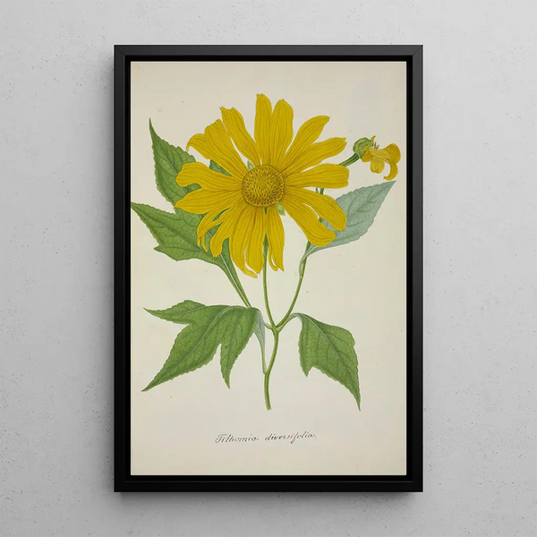 Mon Jardin à Ceylan Pl074 - George De Alwis — framed artwork on a wall