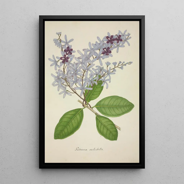 Mon Jardin à Ceylan Pl077 - George De Alwis — framed artwork on a wall
