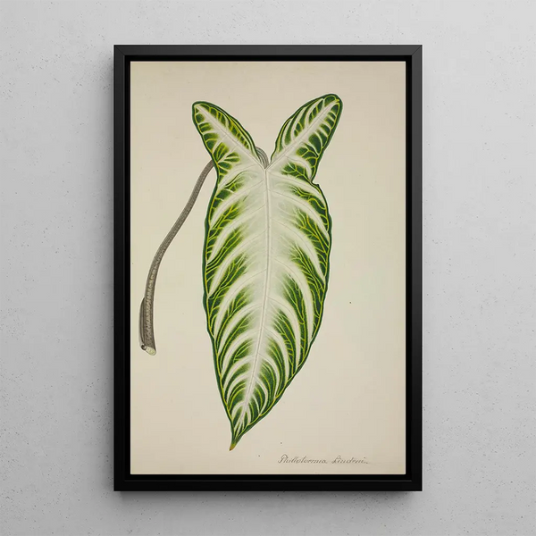 My Garden in Ceylon Pl081 - George De Alwis — framed artwork on a wall