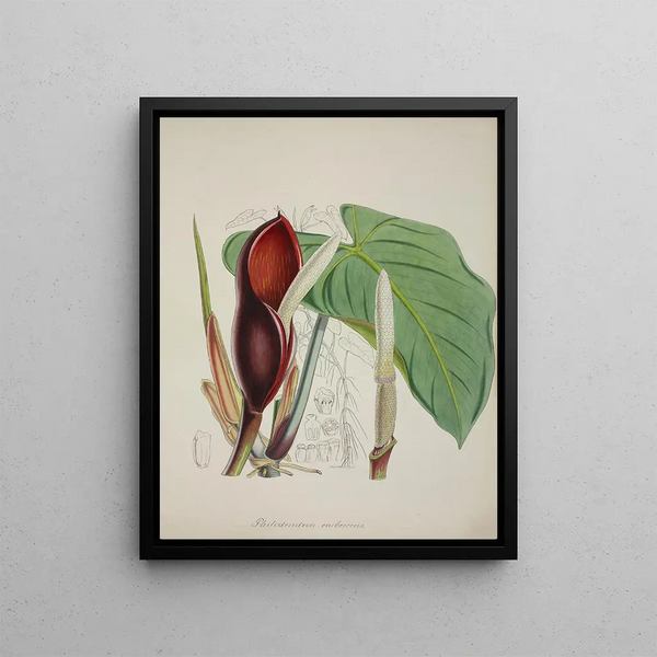 Mon Jardin à Ceylan Pl082 - George De Alwis — framed artwork on a wall