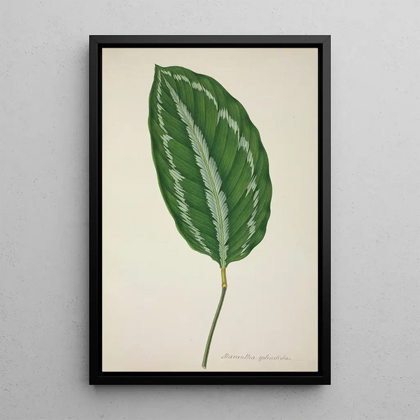 My Garden in Ceylon Pl085 - George De Alwis — framed artwork on a wall